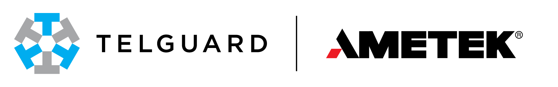 Telguard_by_ametek_logo_Campus Safety Conference Telguard_by_ametek_logo | Campus Safety Conference